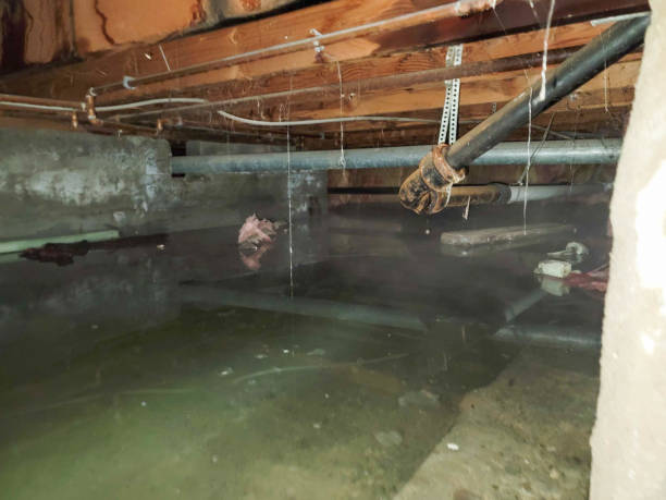 Best Residential water damage restoration  in Brigham City, UT
