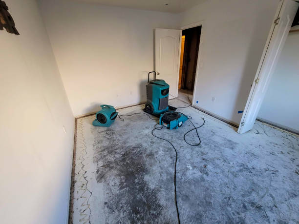 Best Flooded house restoration  in Brigham City, UT