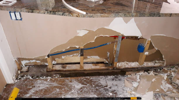 Best 24-hour water damage restoration  in Brigham City, UT