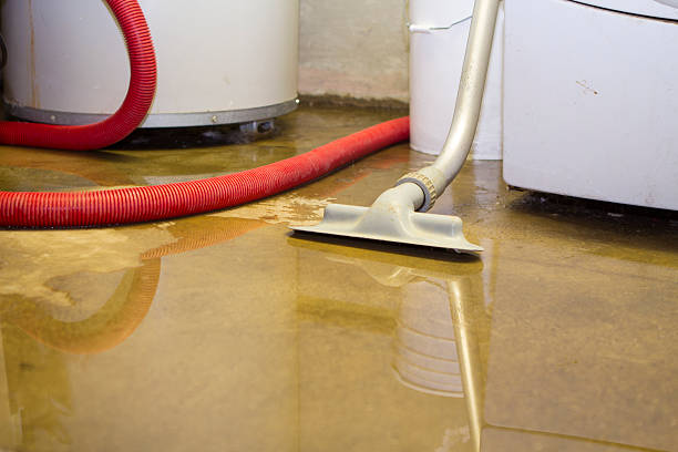 Best Water damage contractors near me  in Brigham City, UT
