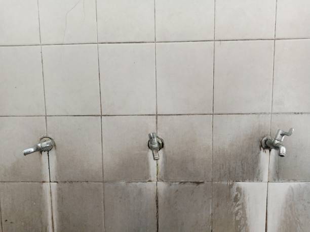 Best Basement water damage restoration  in Brigham City, UT
