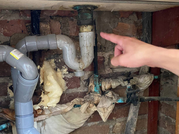 Best Water damage restoration near me  in Brigham City, UT