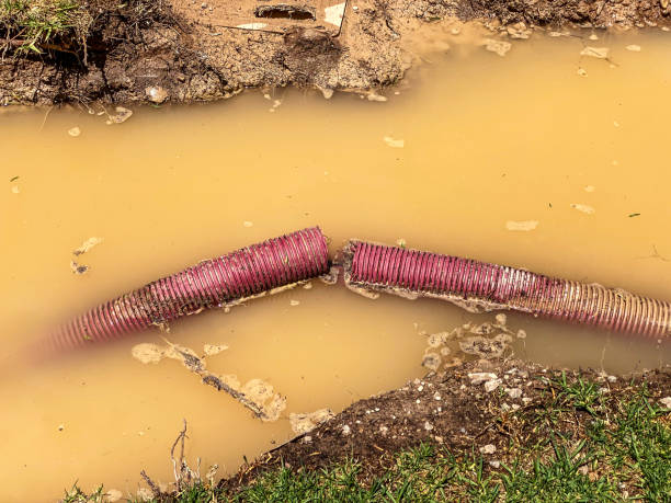 Best Flood damage cleanup  in Brigham City, UT