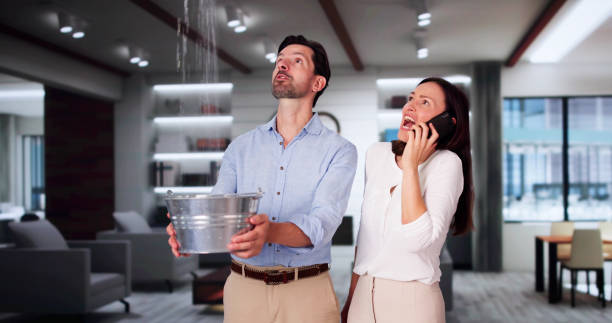 Best Ceiling water damage repair  in Brigham City, UT