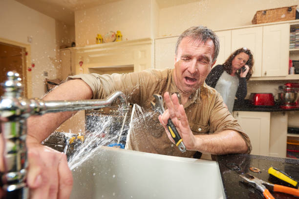 Best Water damage restoration near me  in Brigham City, UT